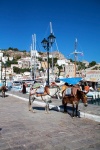 Vehicles are banned on Hydra, Greece. Donkeys only.